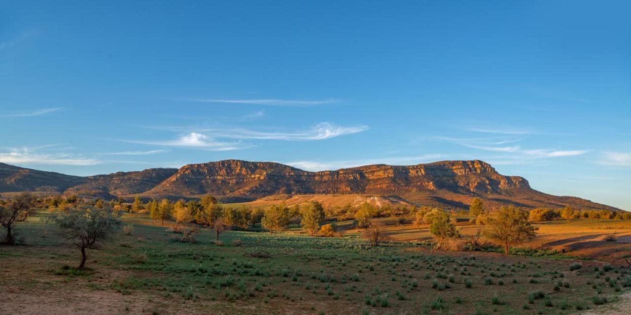 Rawnsley Park Station Hotel Flinders Ranges Buitenkant foto