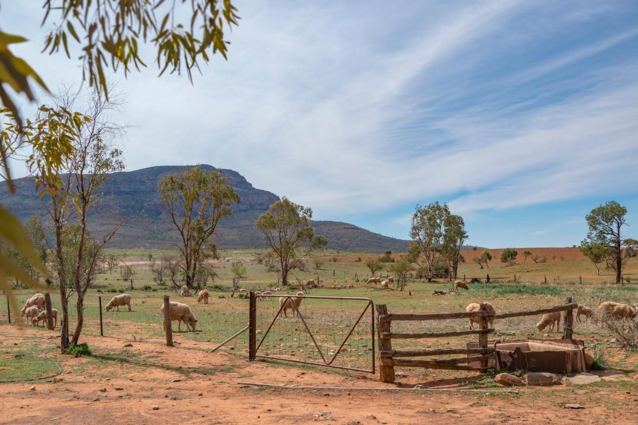 Rawnsley Park Station Hotel Flinders Ranges Buitenkant foto